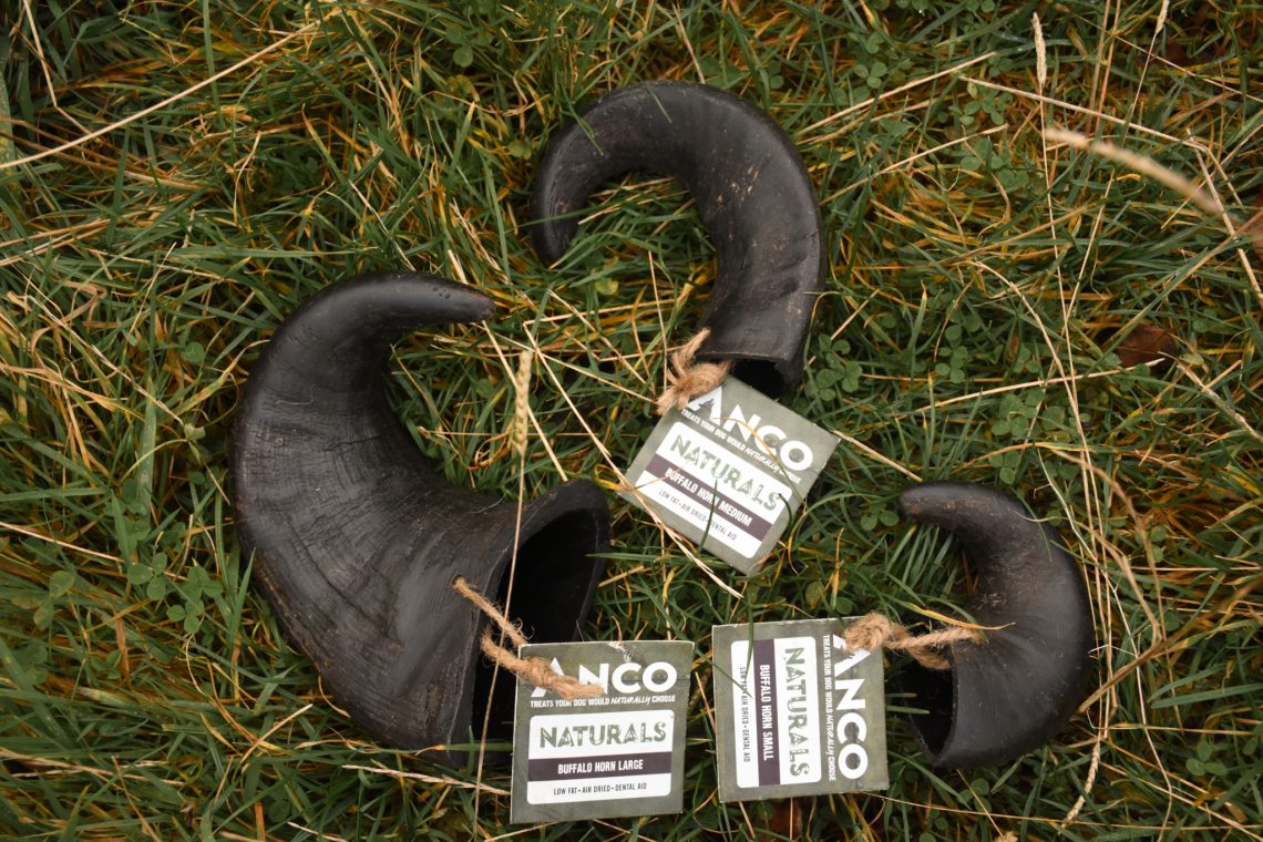 Buffalo horns 4