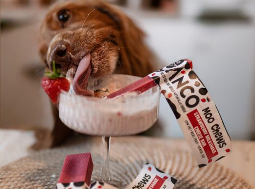 Strawberry Moo Chew News Cover