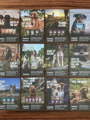 A5 Range Poster Cards.jpg