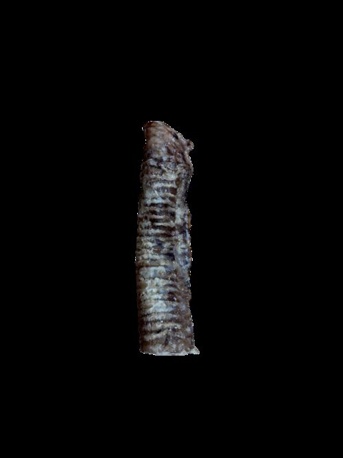 921009_2.jpg