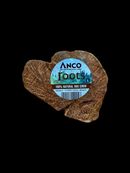 12004.png