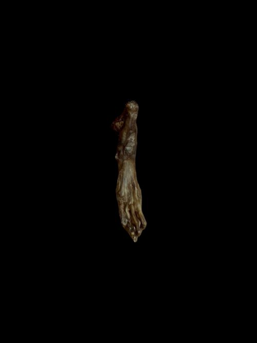 13015_1.png
