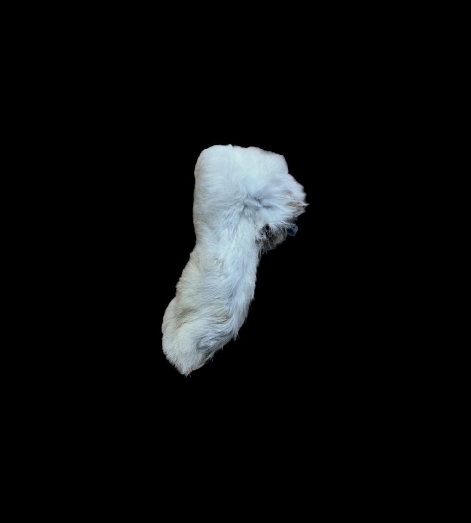 921059_1.png