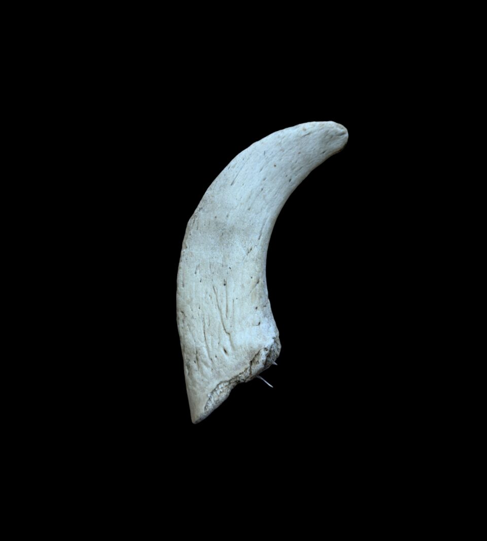 913500_2.jpg
