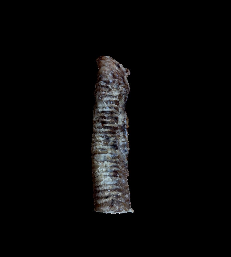 921009_2.jpg