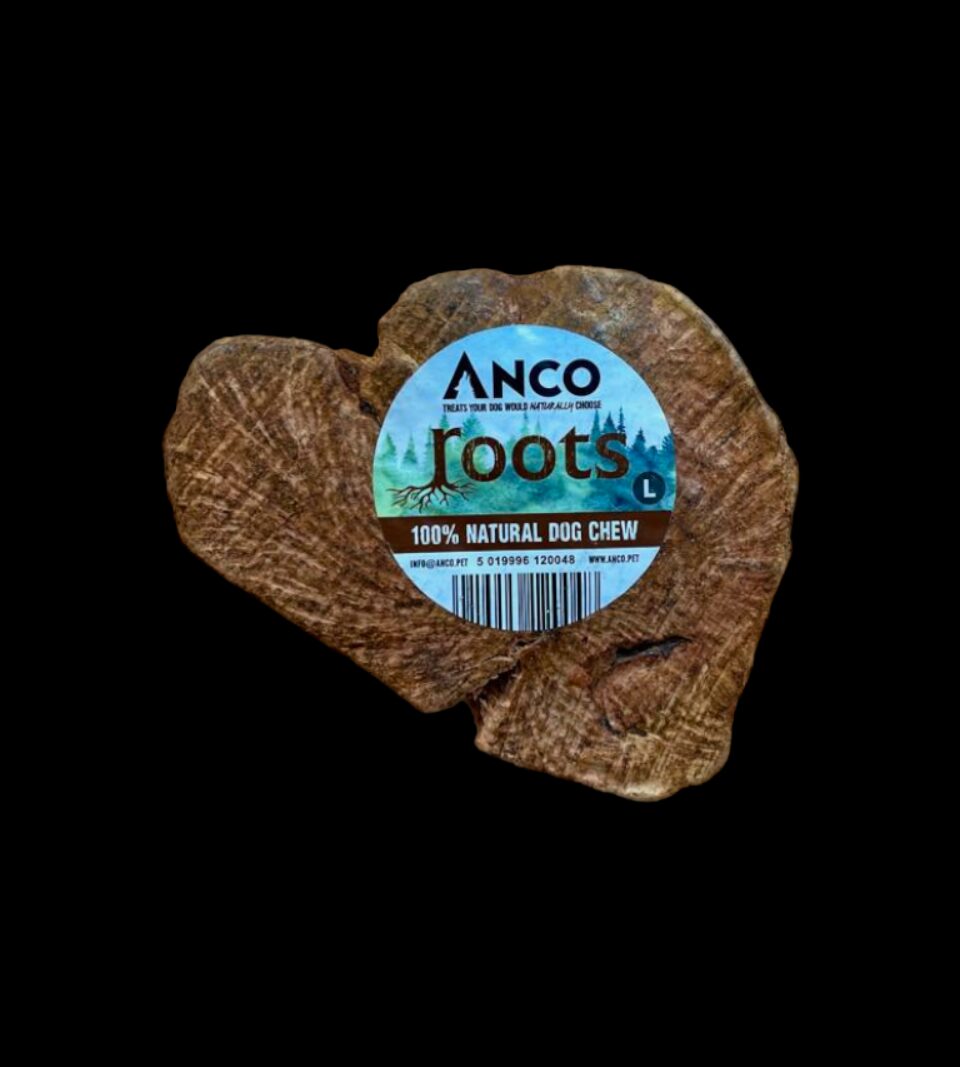 12004.png