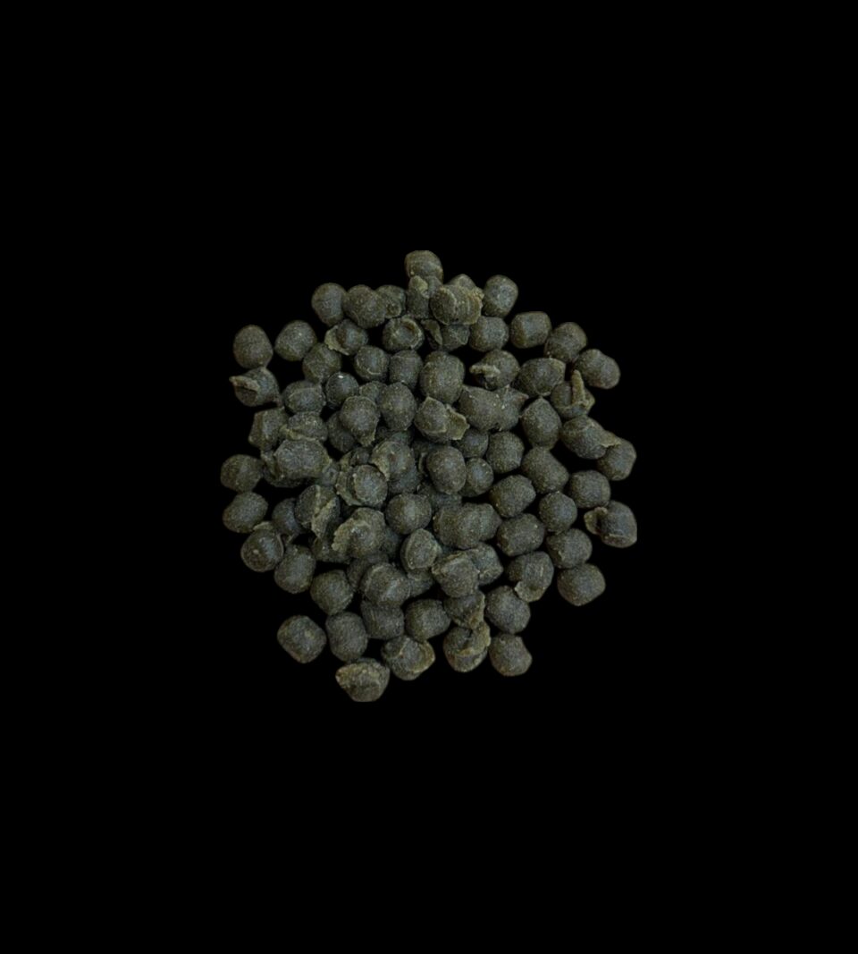 22304_2.png