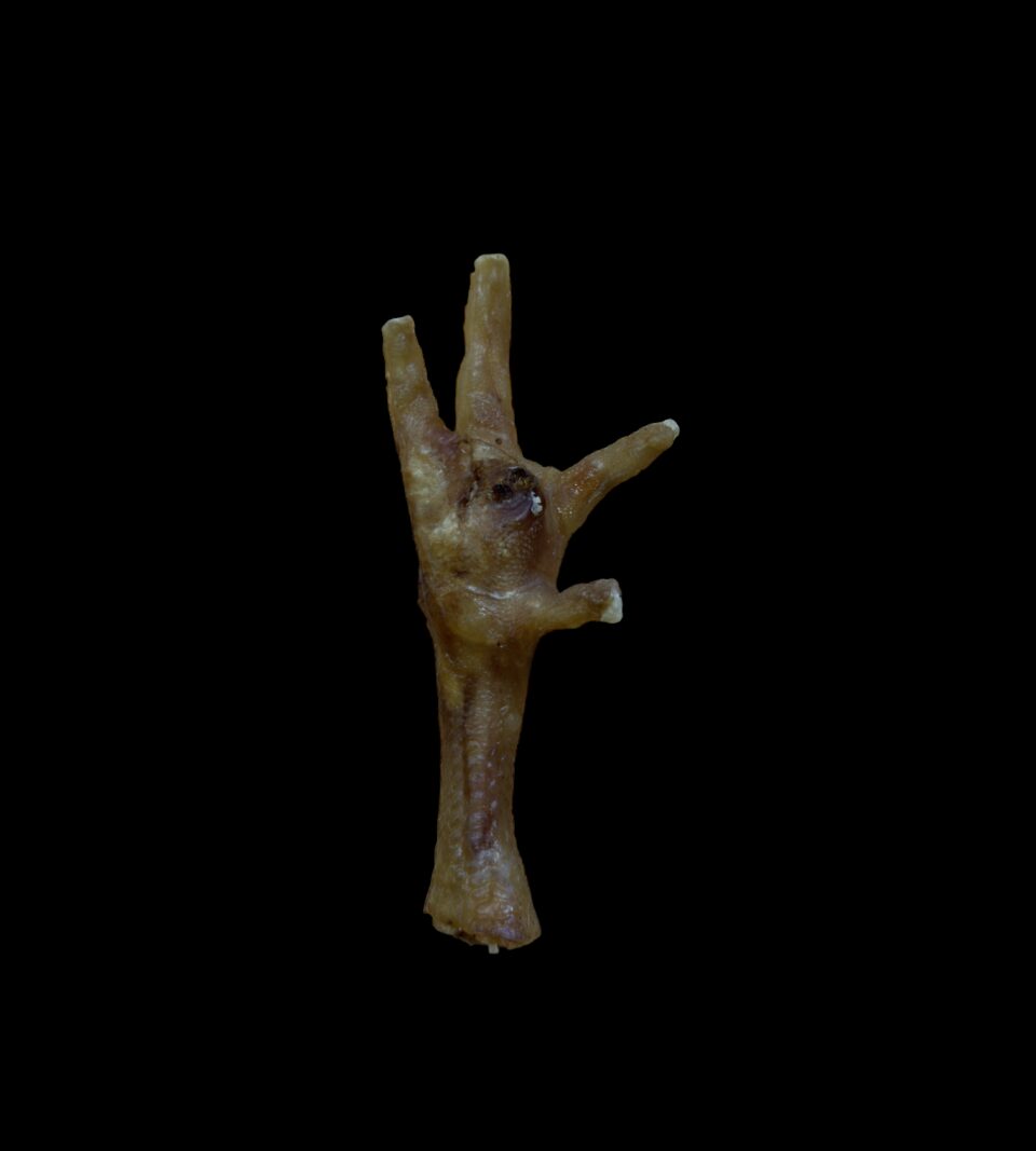 13014_1.png