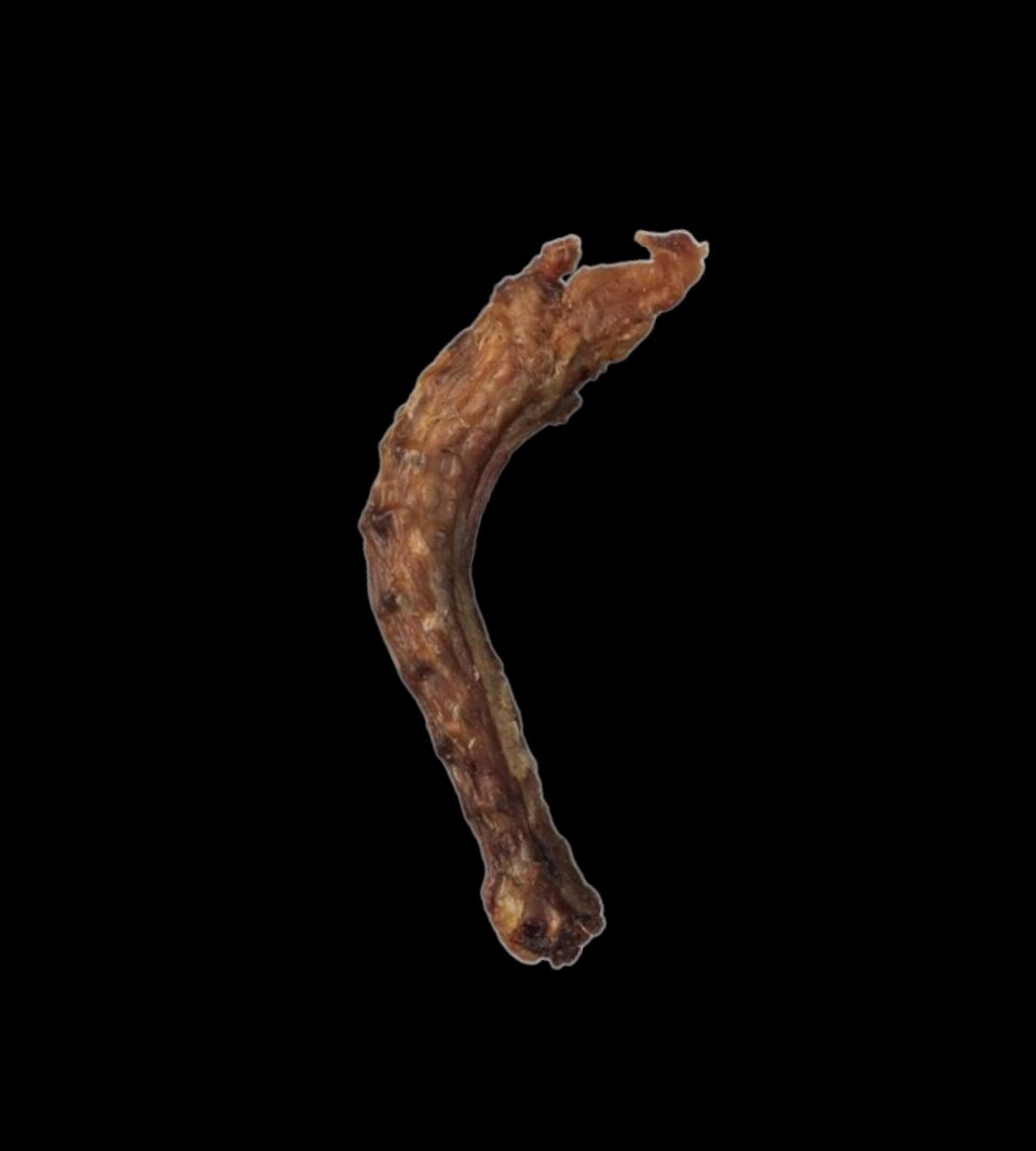 13032_1.png