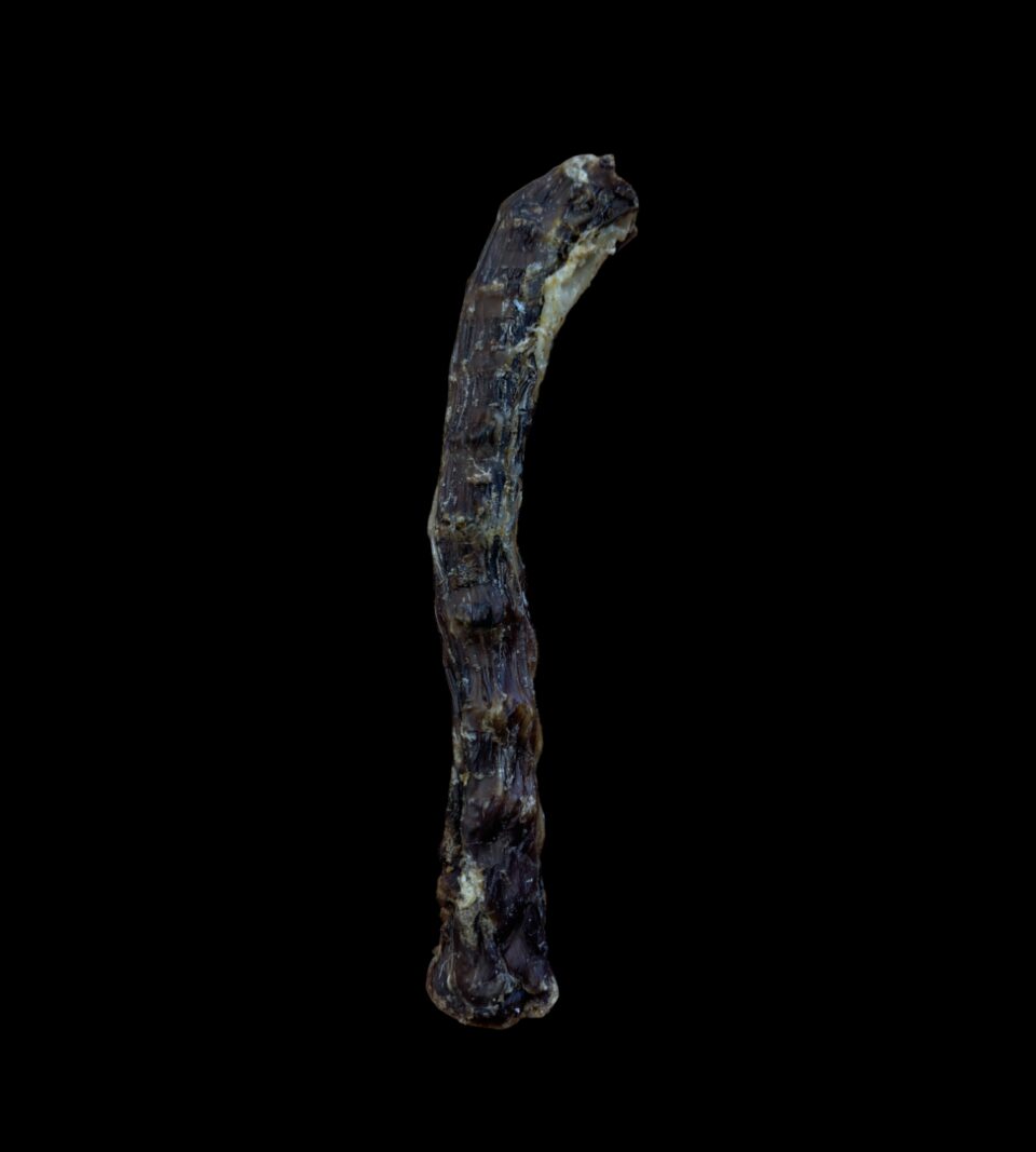13033_1.png