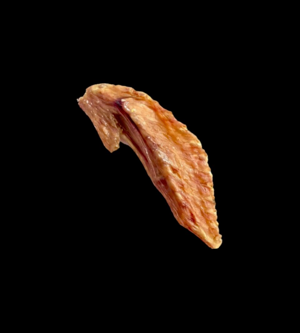 13042_1.png