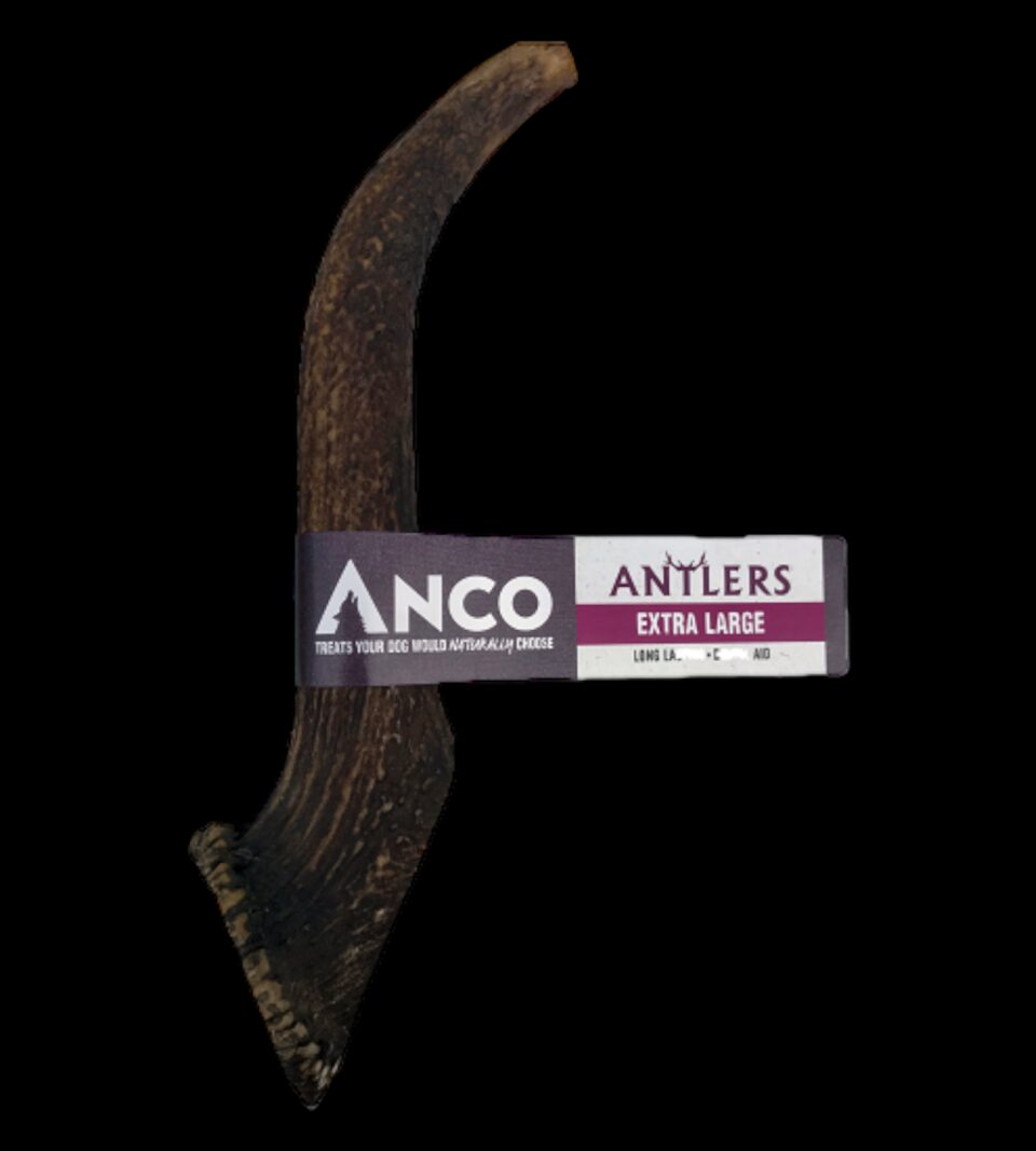 28004.png