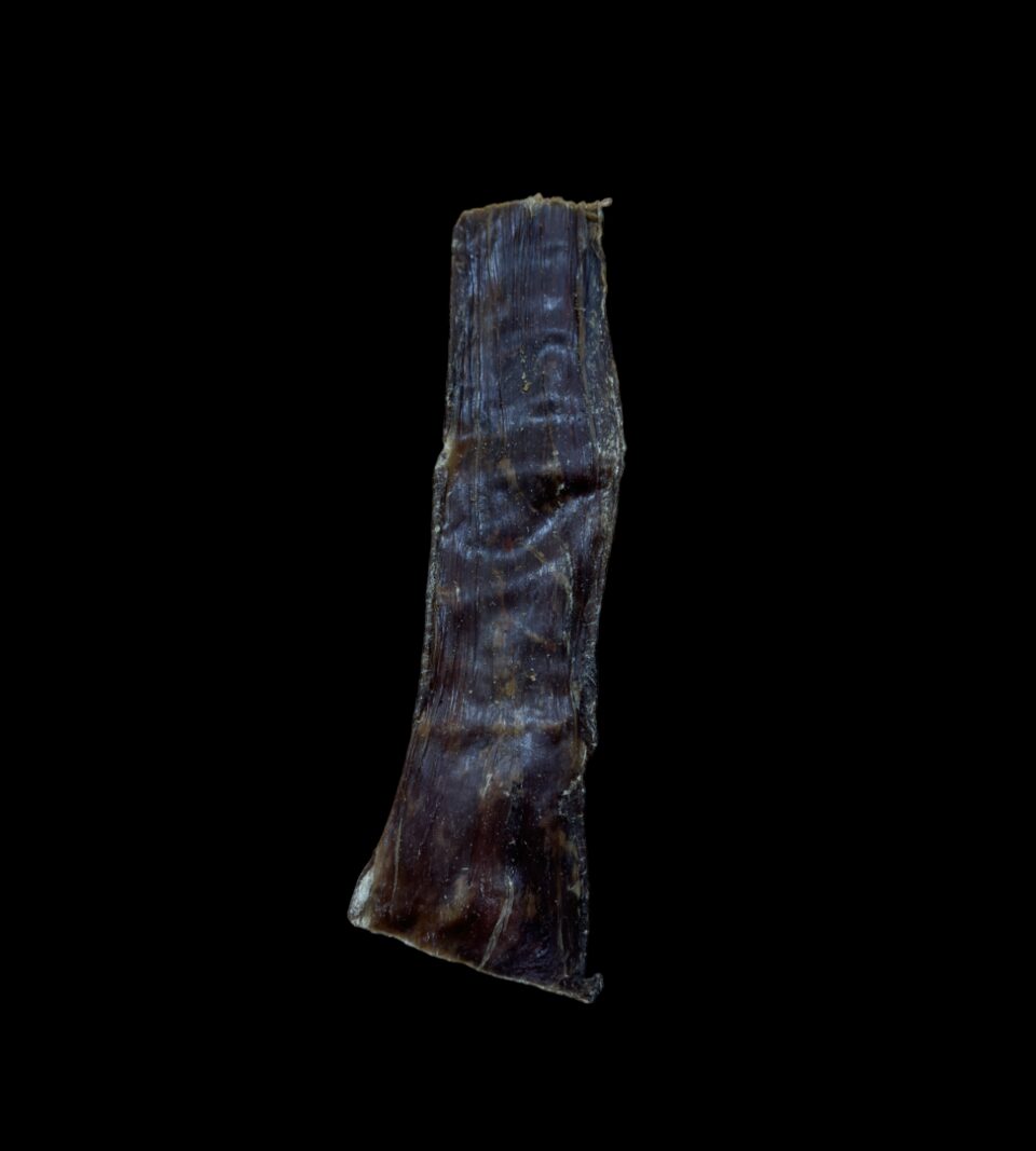 13069_1.png
