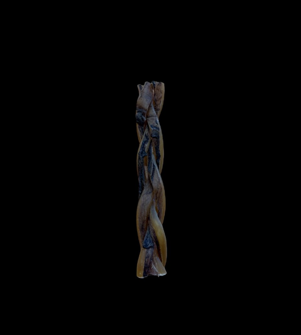 13259.png