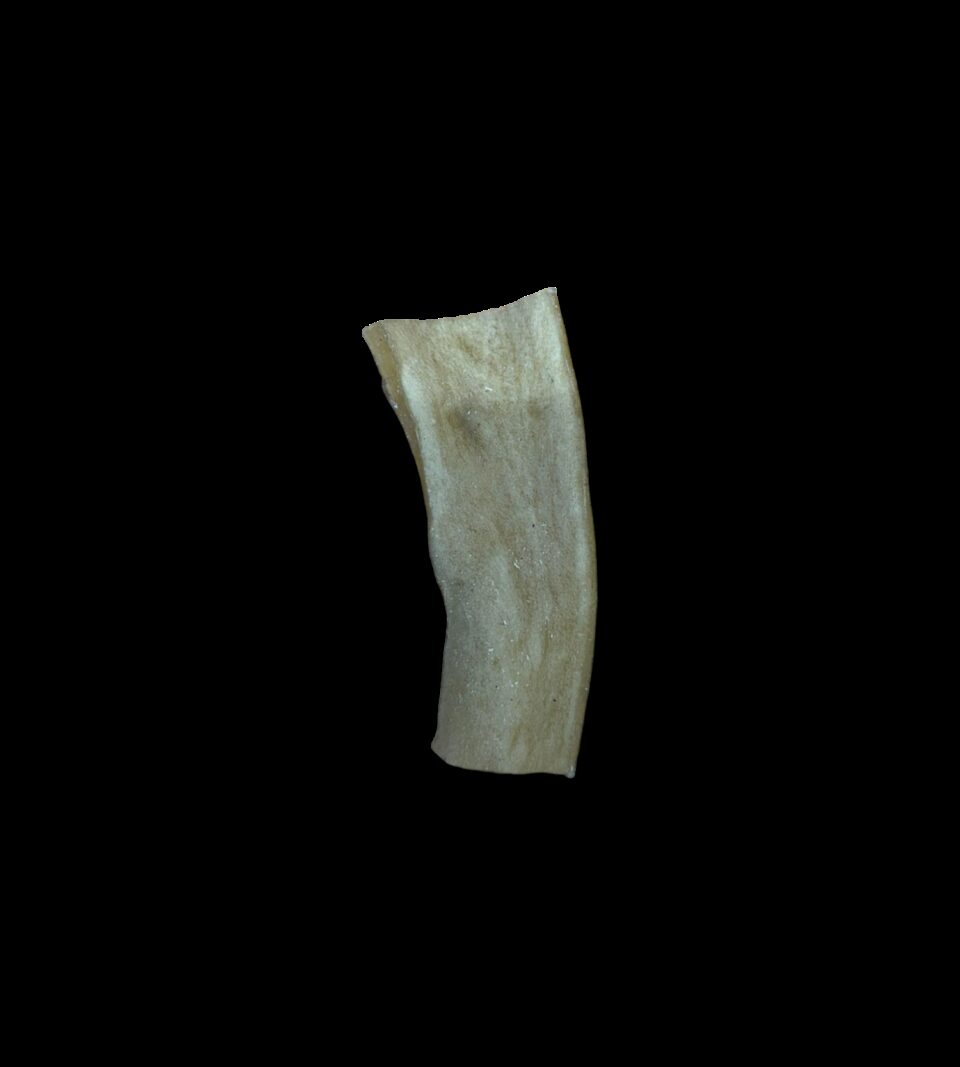 13425_1.png