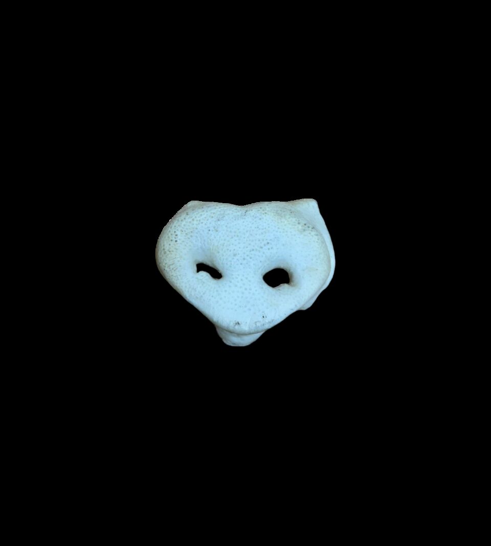 13286_1.png